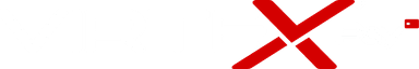 Logo VirteX